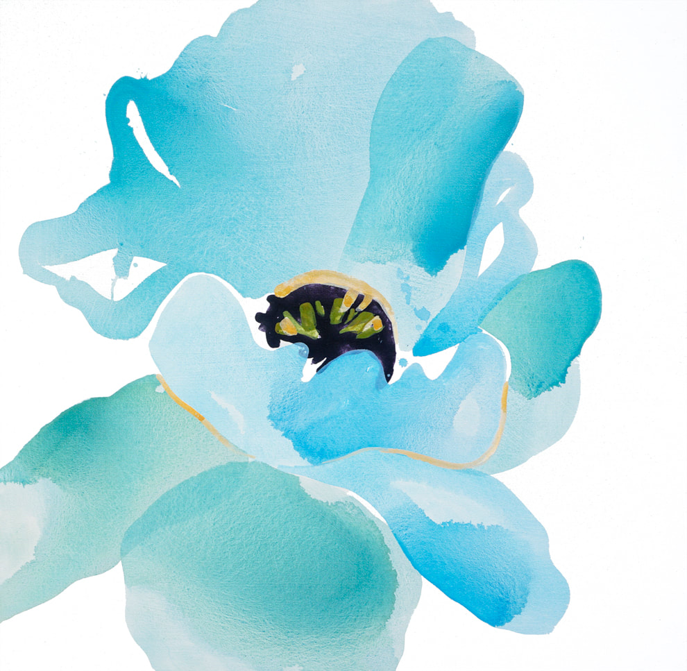 Himalayan Blue Poppy Lauren Adams 48x48