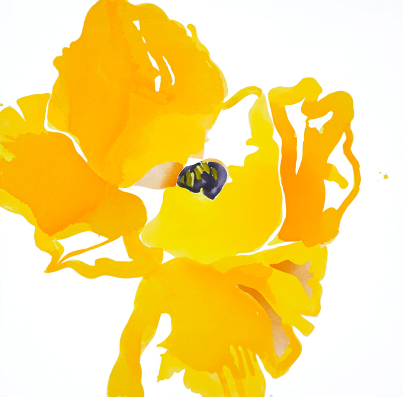 Sunlit Yellow Poppy Lauren Adams Art 60x60